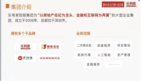 乐有家控股业务概览
